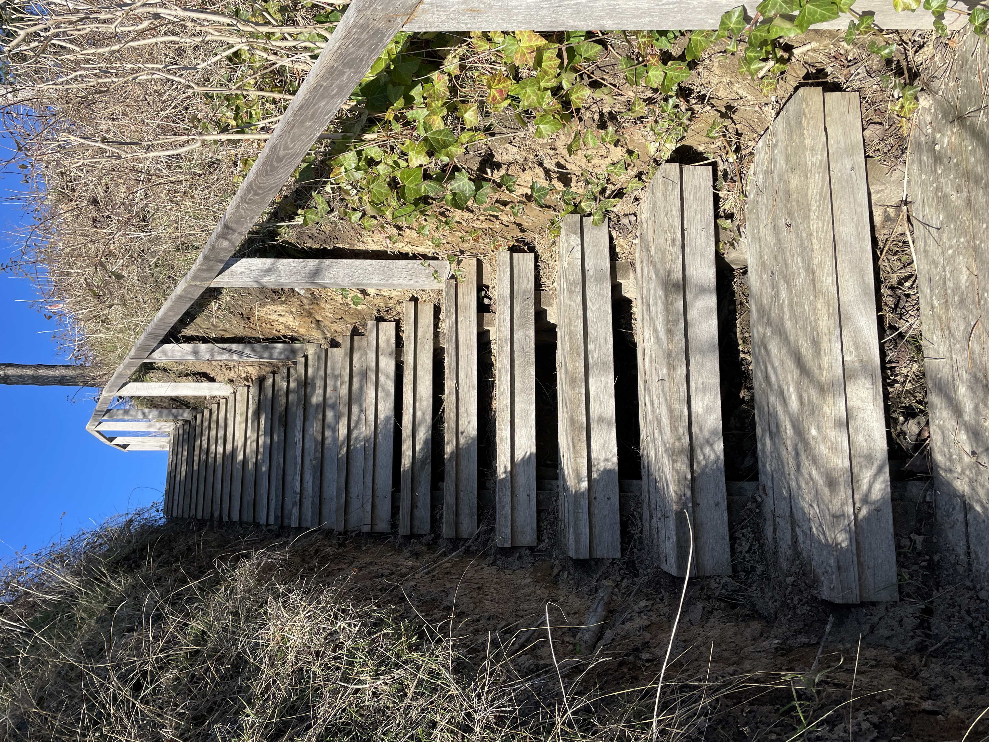 Trappe vest, februar 2023