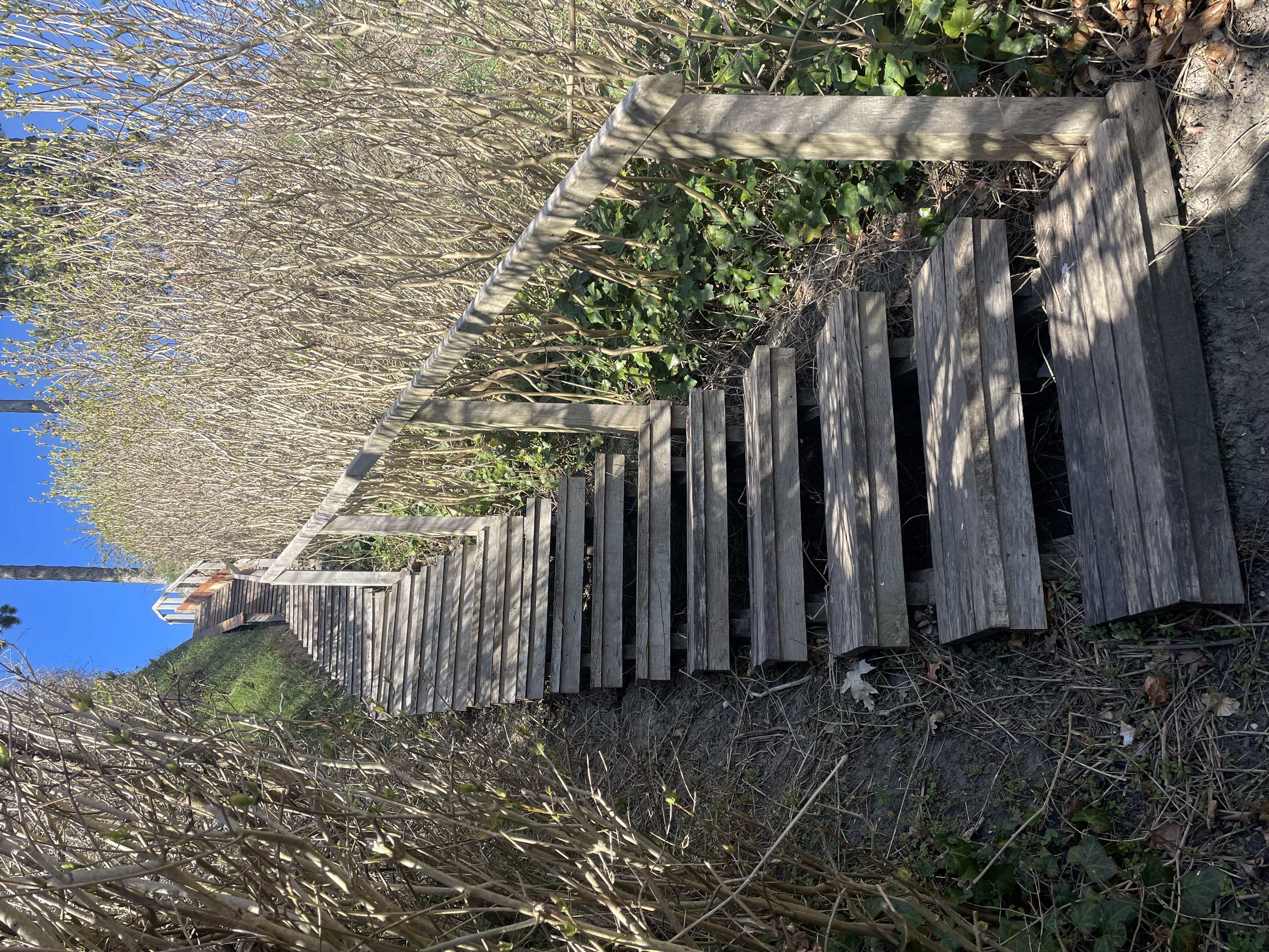 Trappe vest, marts 2025