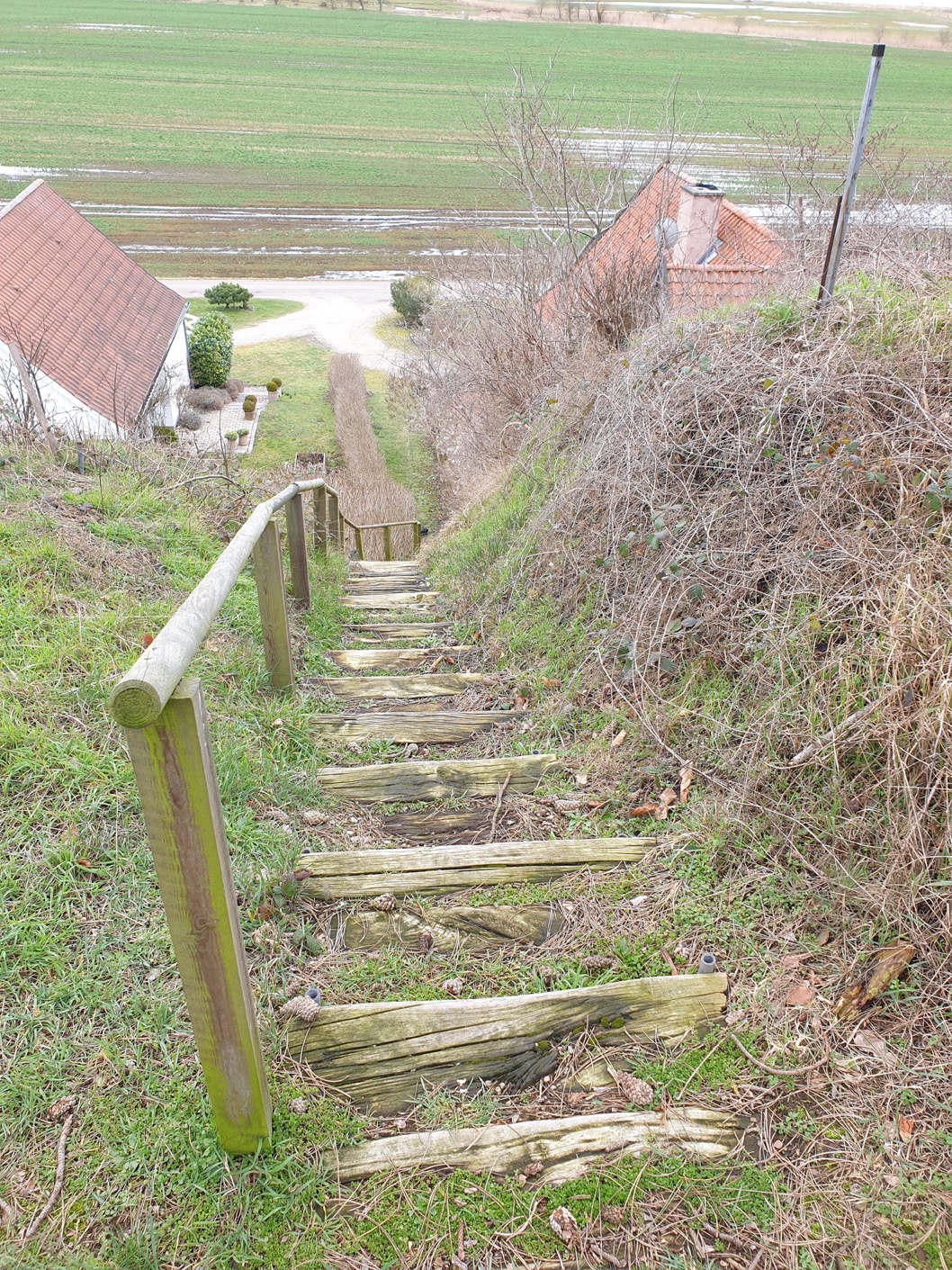Trappe vest, maj 2019