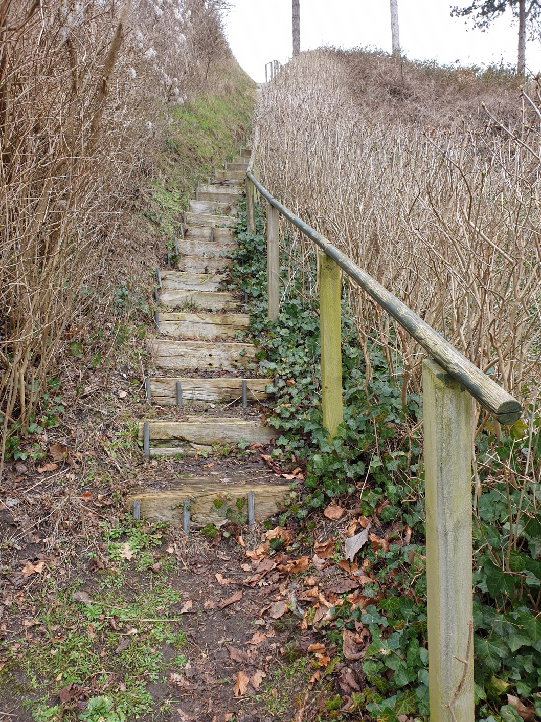 Trappe vest, maj 2019