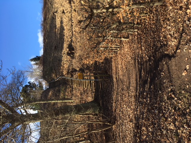 Trappe øst, maj 2018