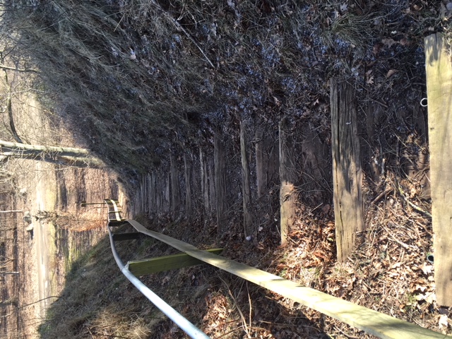 Trappe øst, maj 2018